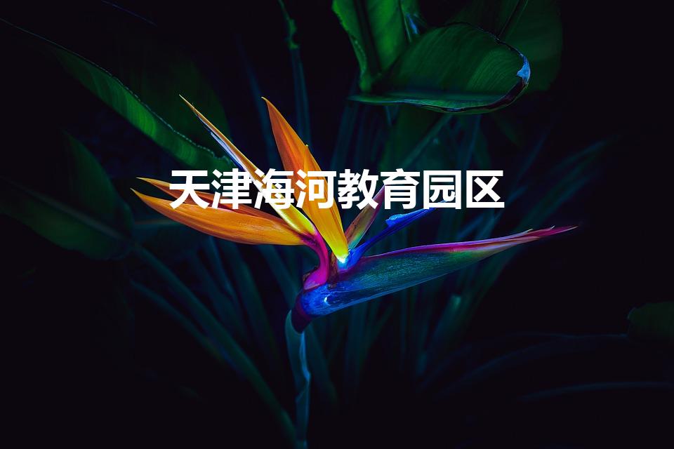 天津海河教育园区（天津海河教育园区有哪些学校）