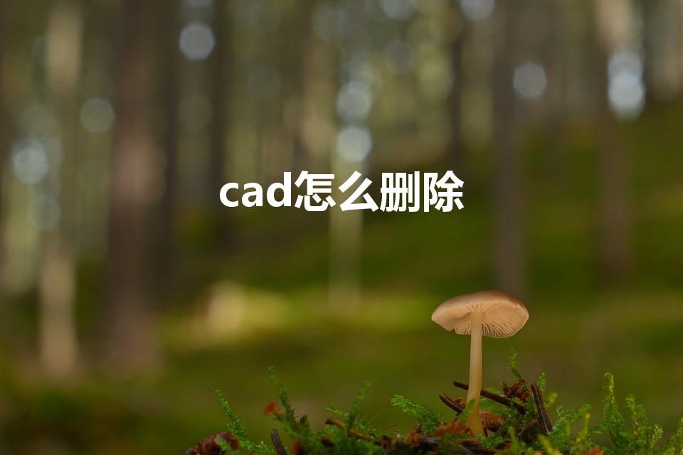 cad怎么删除（cad中如何删除图形）