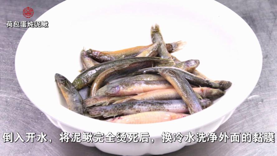 泥鳅为什么怕盐（为什么泥鳅对盐敏感？）