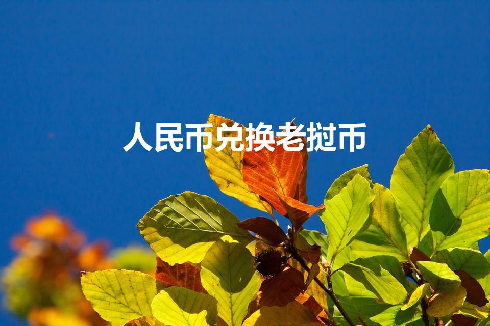 人民币兑换老挝币（100元换多少老挝币）