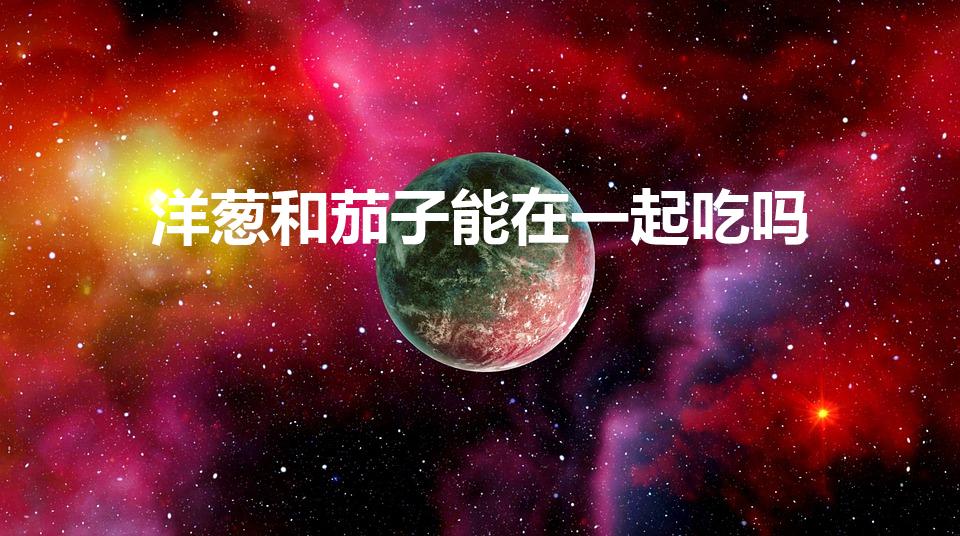 洋葱和茄子能在一起吃吗（茄子可以跟洋葱一起炒吗）