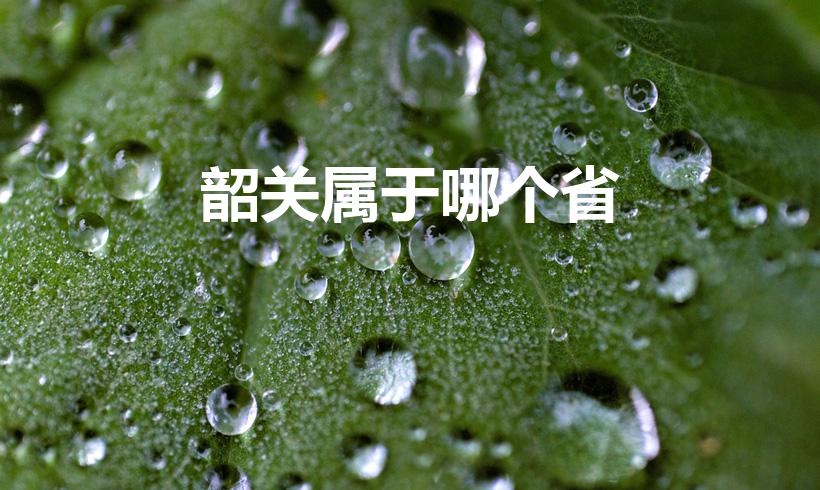 韶关属于哪个省（韶关市属于哪个省）