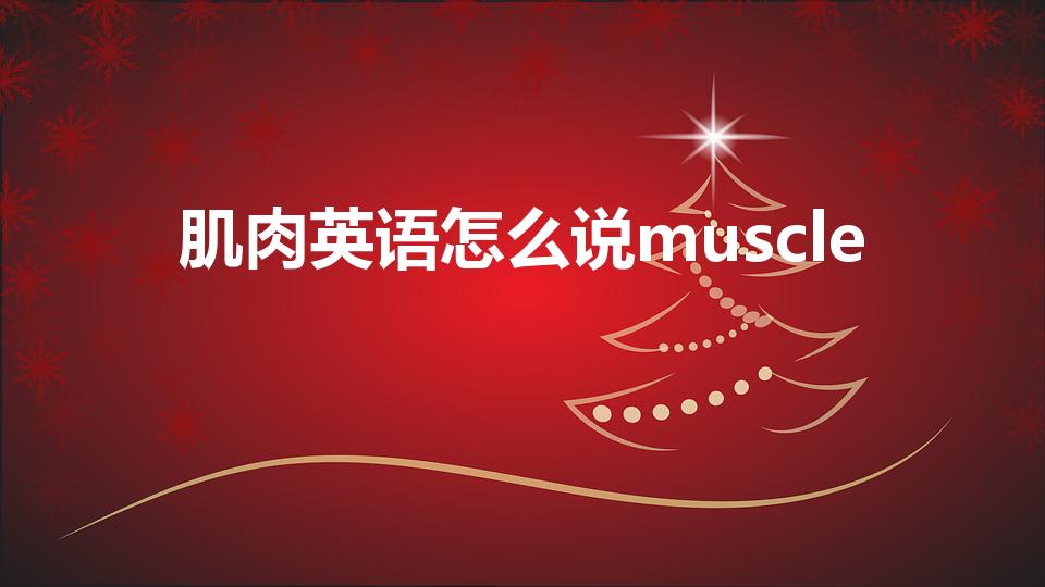 肌肉英语怎么说muscle（肌肉英文的读音）