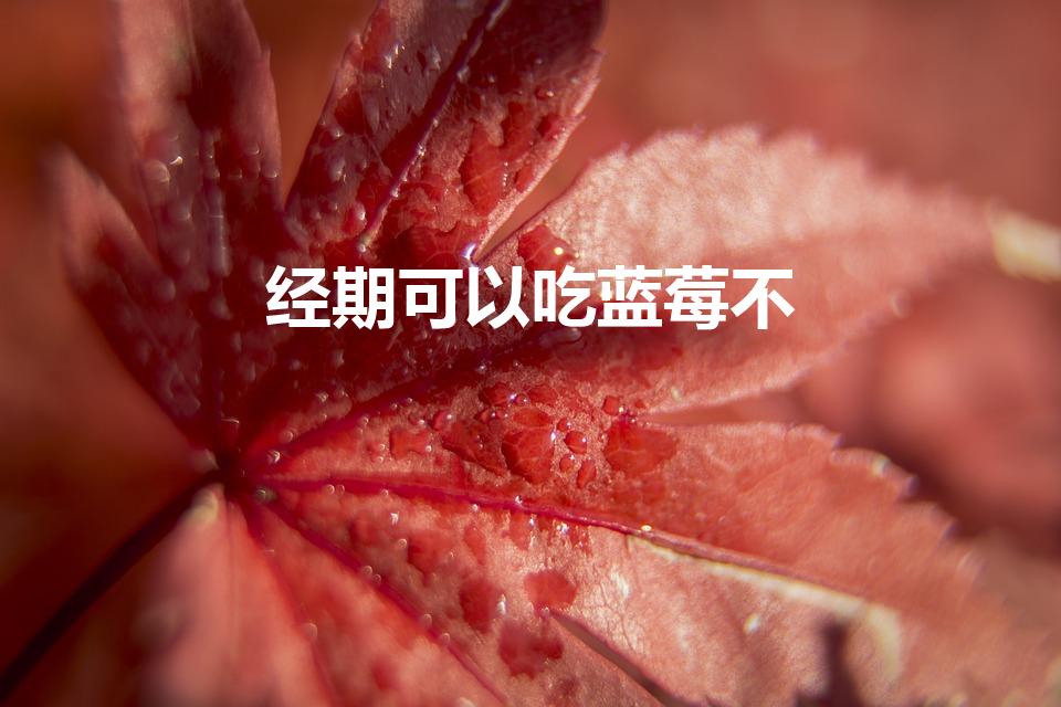 经期可以吃蓝莓不（经期可以吃蓝莓吗经期吃蓝莓好吗）