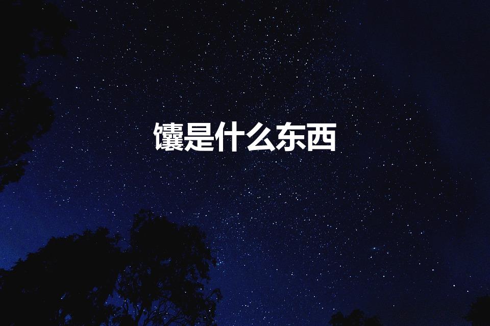 馕是什么东西（馕是什么意思）