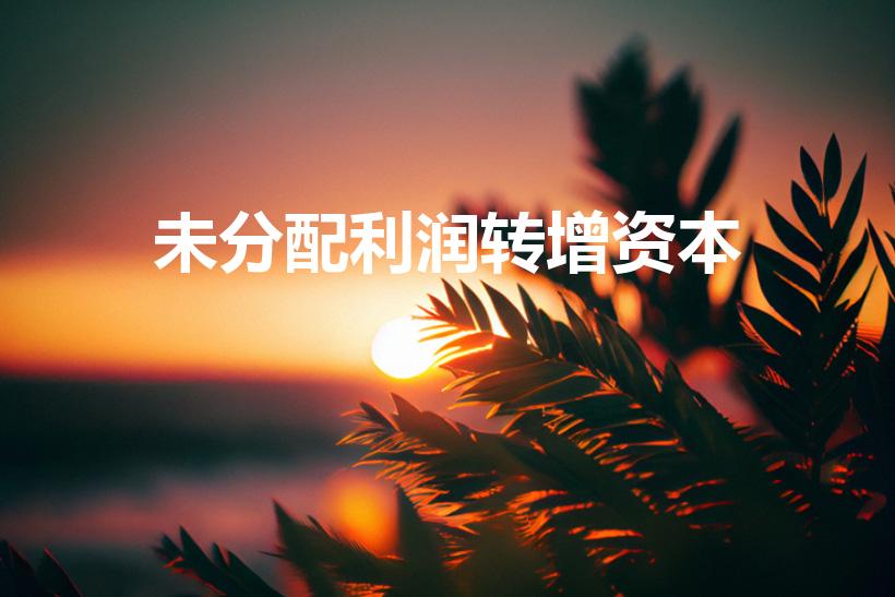 未分配利润转增资本（未分配利润到底能不能转增资本）
