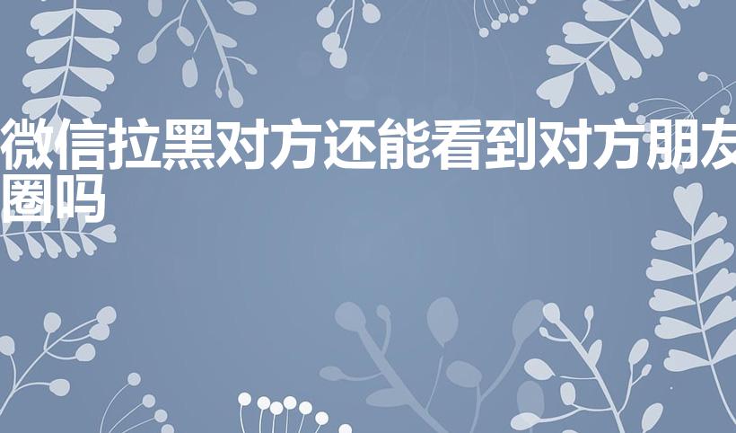 微信拉黑对方还能看到对方朋友圈吗