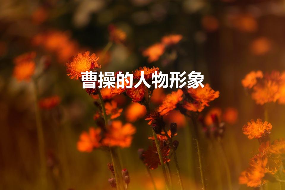 曹操的人物形象（曹操是一个什么样的人）