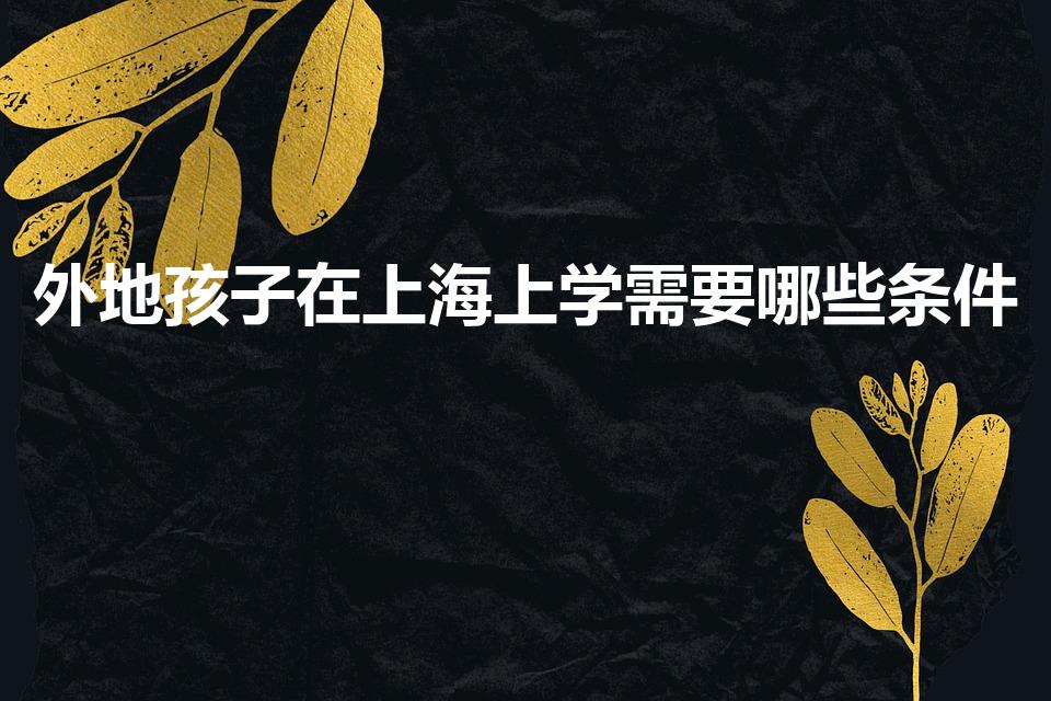 外地孩子在上海上学需要哪些条件
