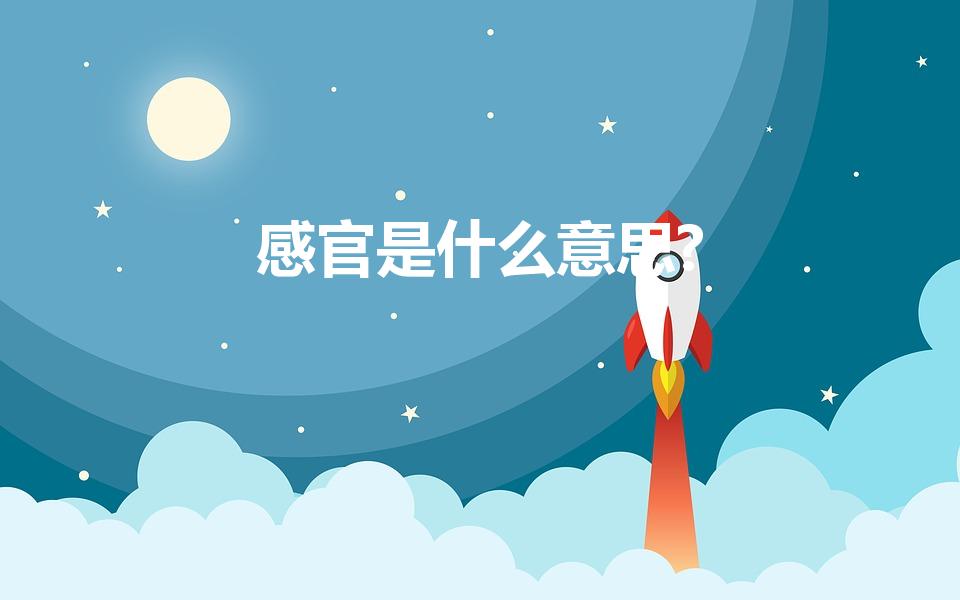感官是什么意思?（感官是什么意思）
