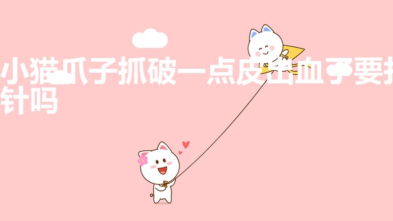 小猫爪子抓破一点皮出血了要打针吗（小猫挠破皮了用打针么）
