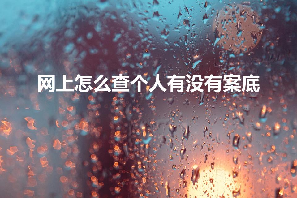 网上怎么查个人有没有案底（怎么查个人有没有案底）