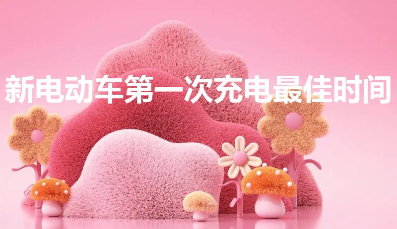新电动车第一次充电最佳时间