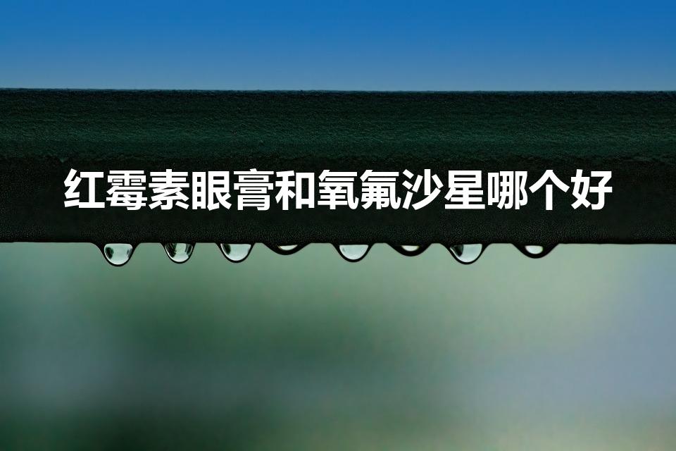 红霉素眼膏和氧氟沙星哪个好（什么眼药膏消炎快）