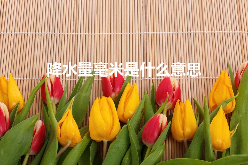 降水量毫米是什么意思（降雨的毫米是什么意思）