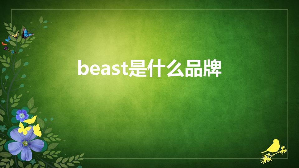 beast是什么品牌（雷兹瓦尼是什么牌子）