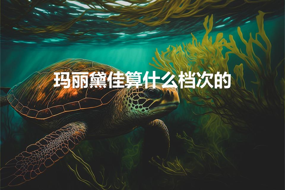 玛丽黛佳算什么档次的（玛丽黛佳是什么档次）