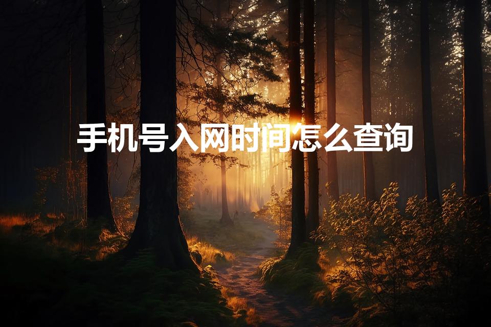 手机号入网时间怎么查询（怎么才能查手机号的开通时间呢）