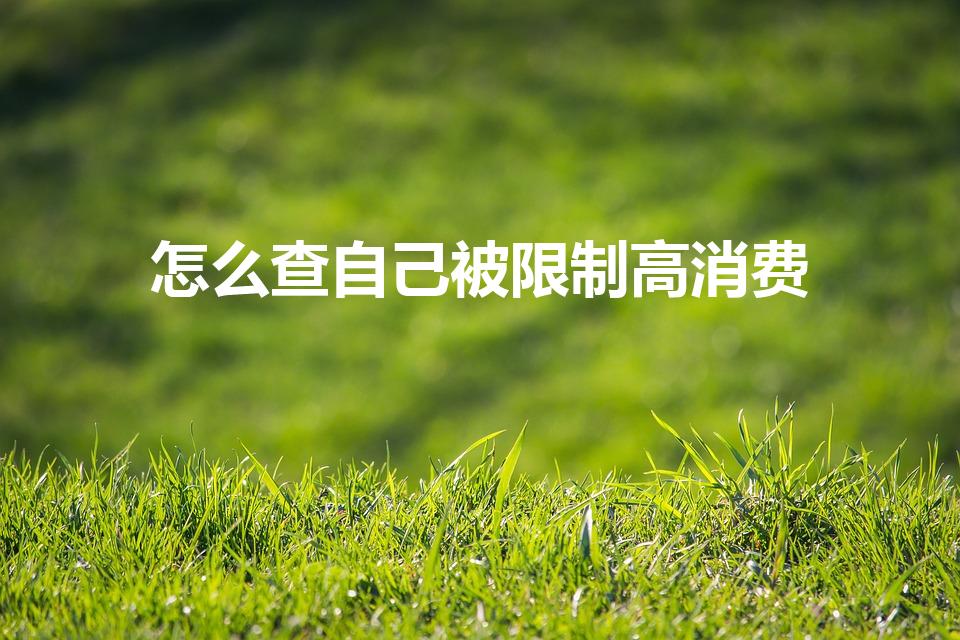 怎么查自己被限制高消费（怎么查限制高消费）