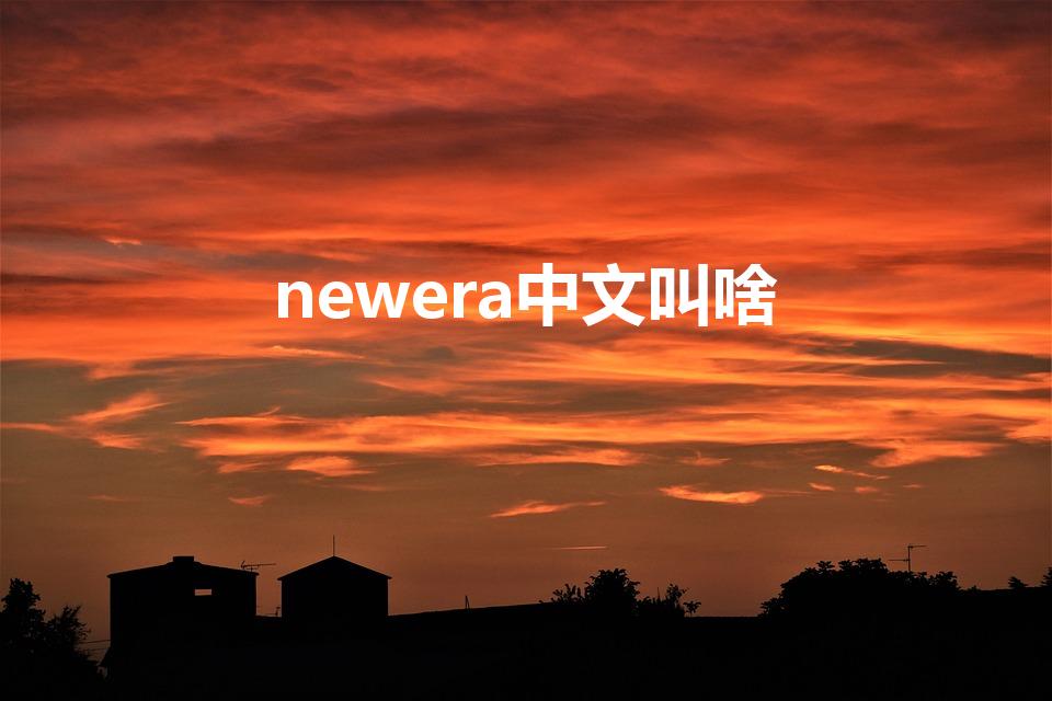 newera中文叫啥（newera中文名）