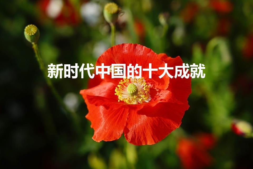 新时代中国的十大成就（新时代十年的成就）