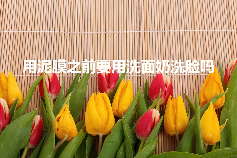 用泥膜之前要用洗面奶洗脸吗（泥膜和洗面奶的顺序）