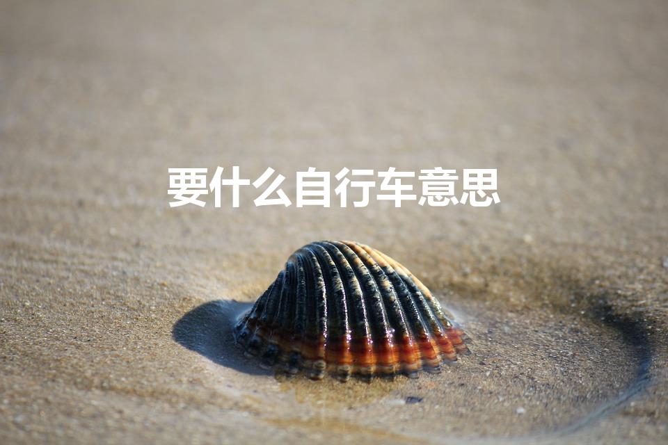 要什么自行车意思（要啥自行车是什么梗）