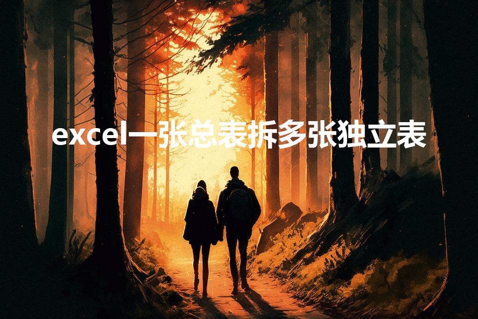 excel一张总表拆多张独立表