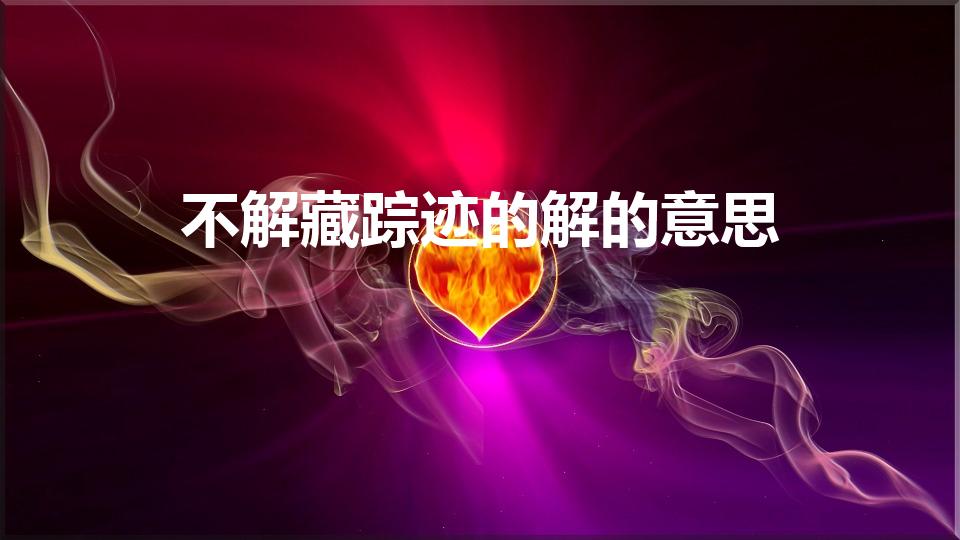 不解藏踪迹的解的意思（不解藏踪迹的解的意思是什么）