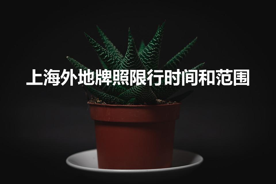 上海外地牌照限行时间和范围（上海外省限行时间和范围）