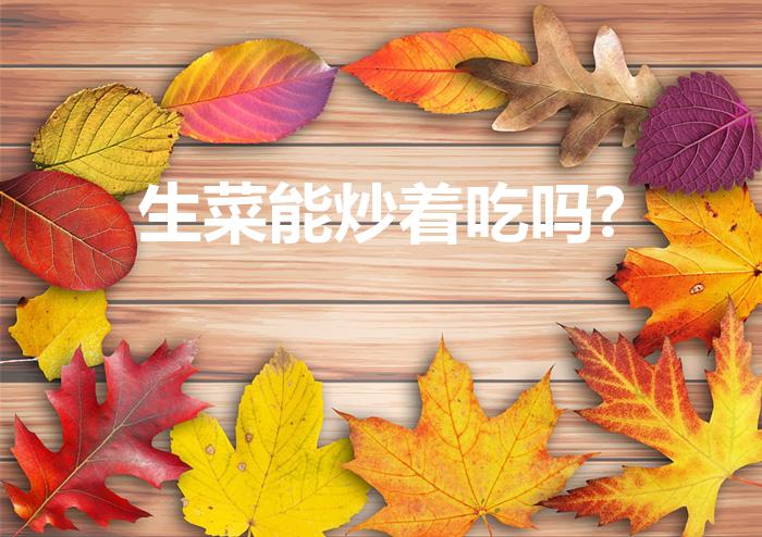 生菜能炒着吃吗?（生菜能炒着吃吗 生菜怎么炒）