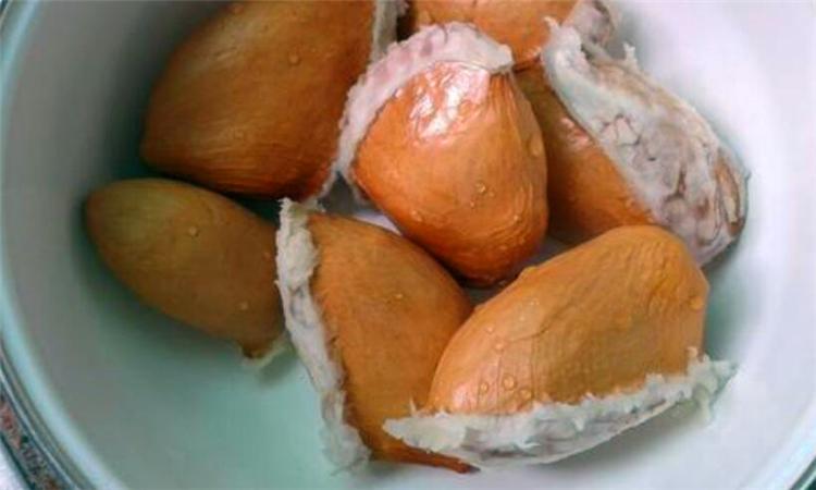榴莲籽有什么功效（榴莲籽的健康益处）