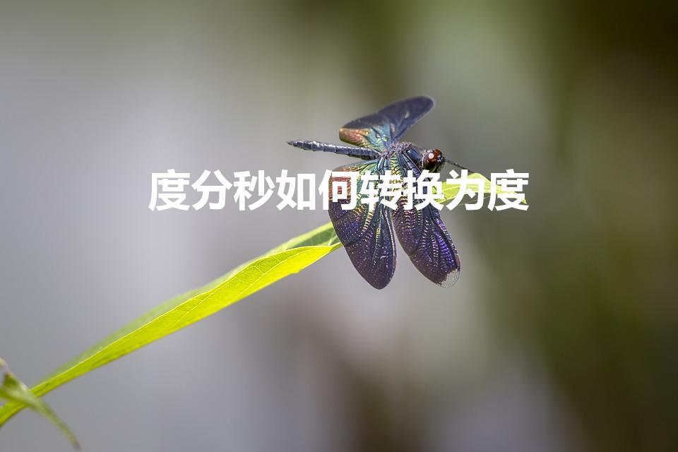 度分秒如何转换为度（度分秒怎么换算成度）