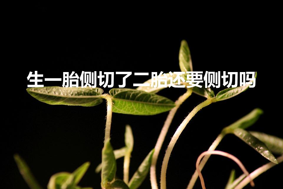 生一胎侧切了二胎还要侧切吗（头胎侧切了二胎怎么办）