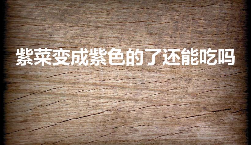 紫菜变成紫色的了还能吃吗（干紫菜放久了变成紫色）