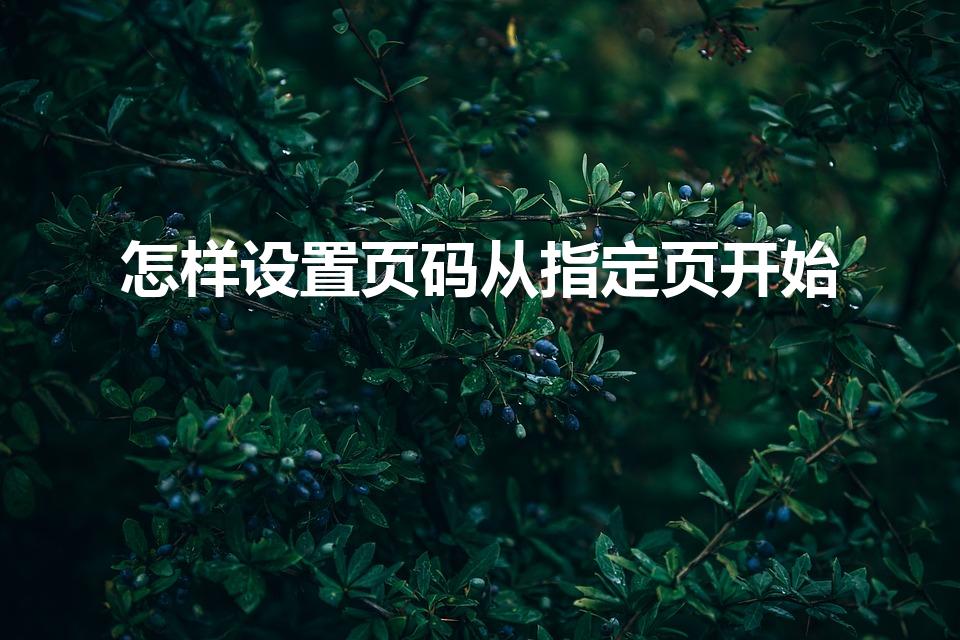 怎样设置页码从指定页开始
