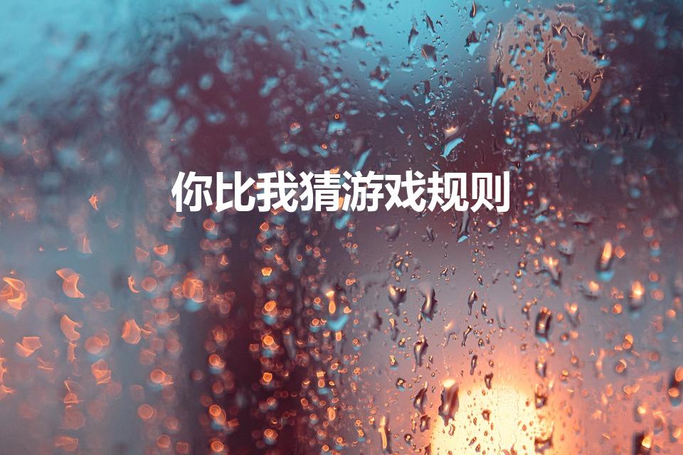 你比我猜游戏规则（你说我猜游戏规则）