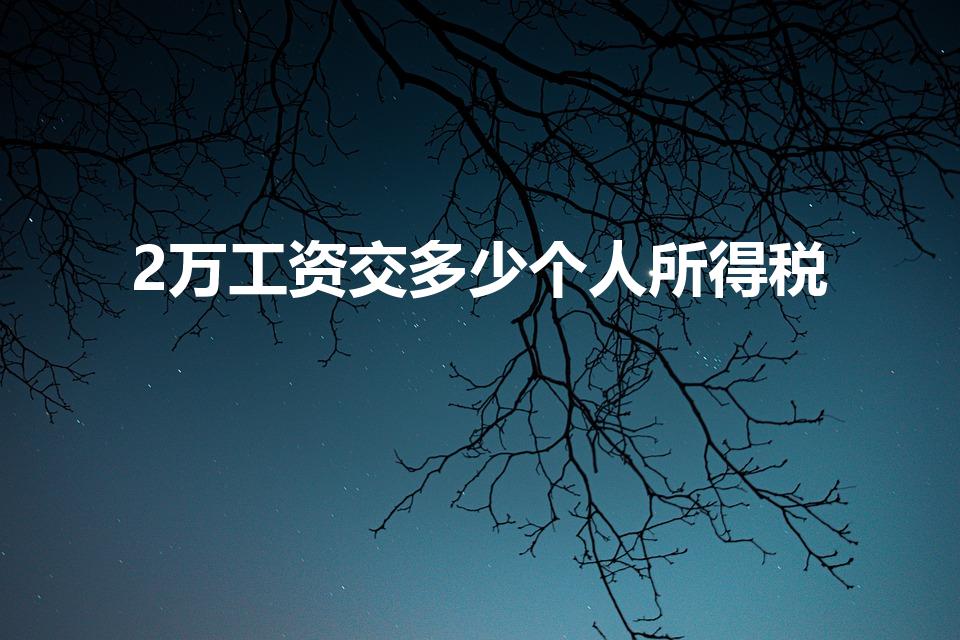 2万工资交多少个人所得税（工资2万交多少个人所得税）