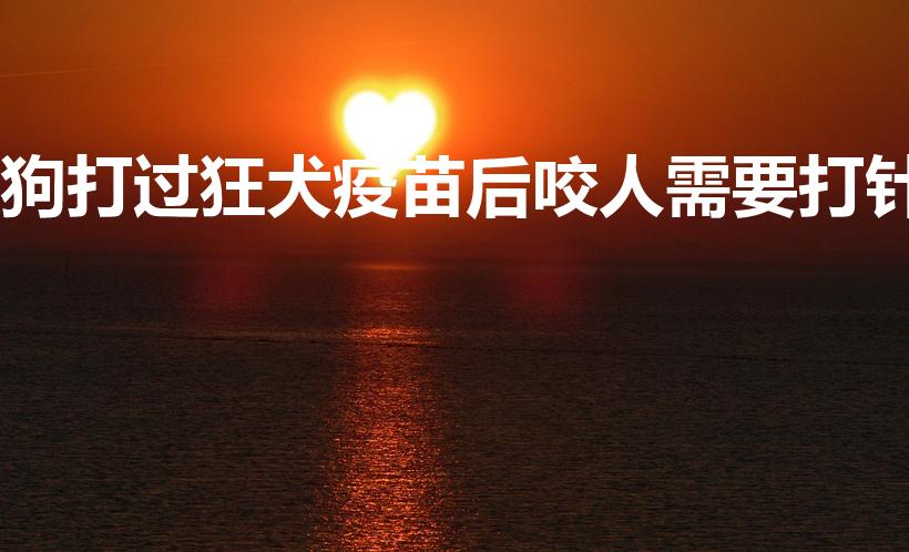 狗打过狂犬疫苗后咬人需要打针（打过疫苗的狗咬人要打针吗）