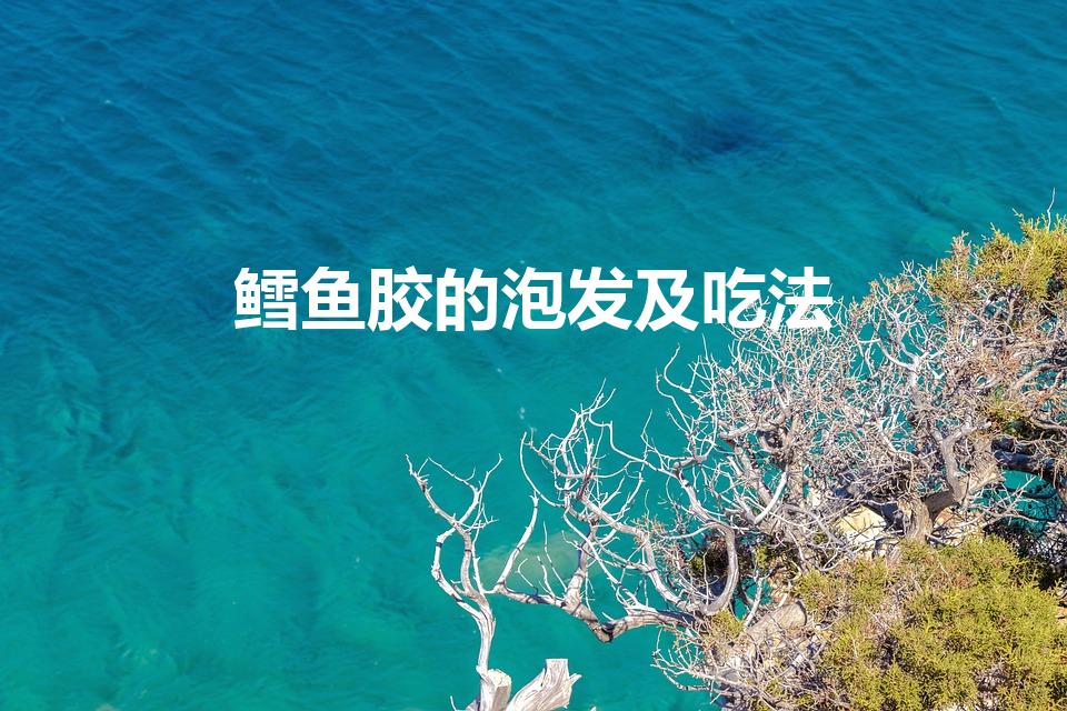 鳕鱼胶的泡发及吃法（鳕鱼胶怎么泡发 鳕鱼胶如何泡发）