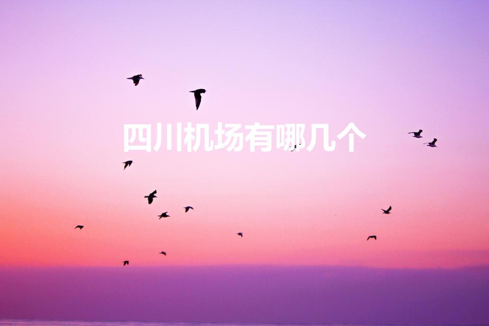四川机场有哪几个（四川有几个机场 四川机场介绍）