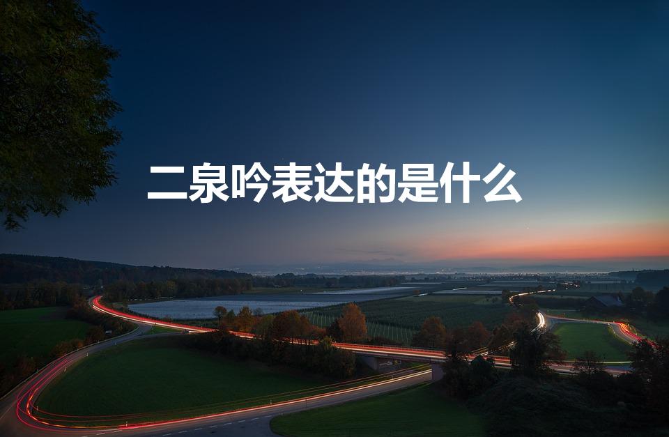 二泉吟表达的是什么（二泉吟表达的是什么意思）