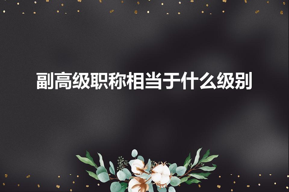 副高级职称相当于什么级别（副高职称相当于什么级别的）