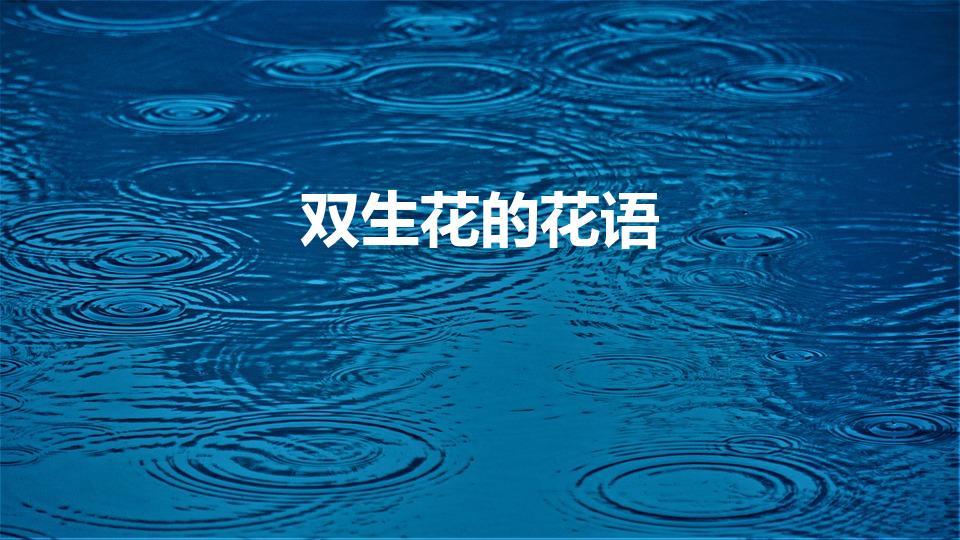 双生花的花语（双生花的花语是什么）
