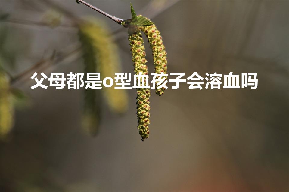 父母都是o型血孩子会溶血吗
