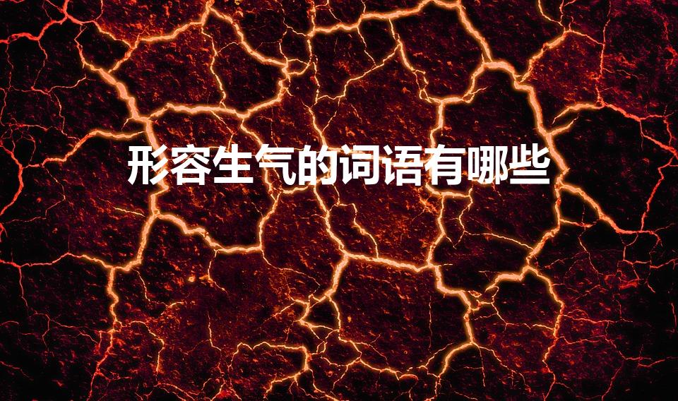 形容生气的词语有哪些（描写生气的词语）