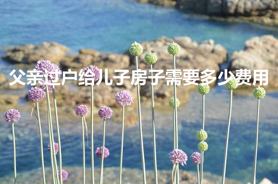 父亲过户给儿子房子需要多少费用
