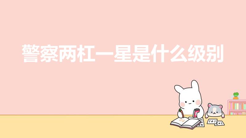 警察两杠一星是什么级别（两杠一星属于什么警衔）
