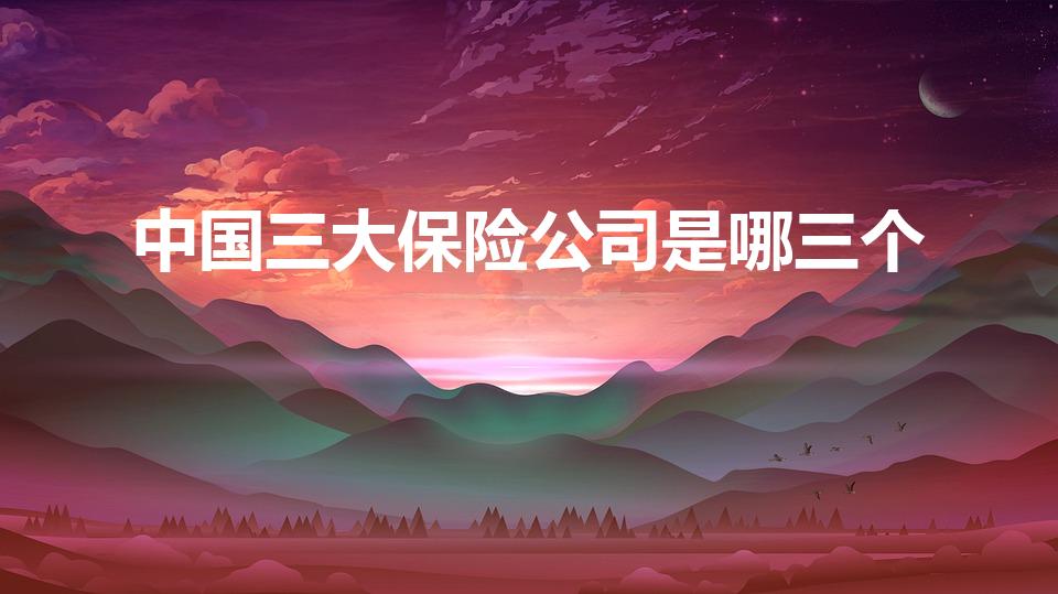 中国三大保险公司是哪三个（国内三大保险公司是什么）