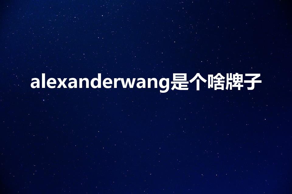 alexanderwang是个啥牌子